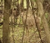 FortSnelling 2014 05 24 012